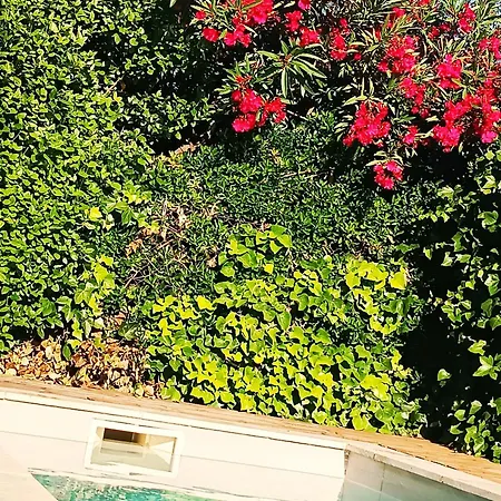 Les Lauriers Roses Narbonne