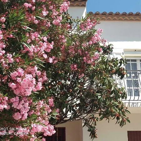 Les Lauriers Roses & Sa Piscine Privative Narbonne