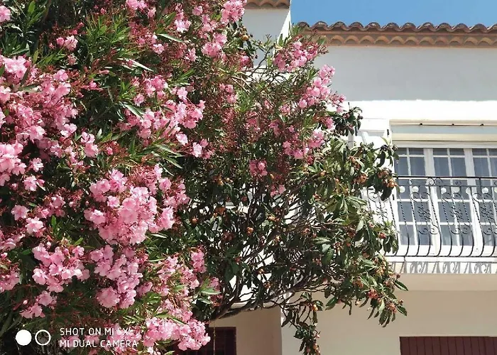 Les Lauriers Roses & Sa Piscine Privative 나르본